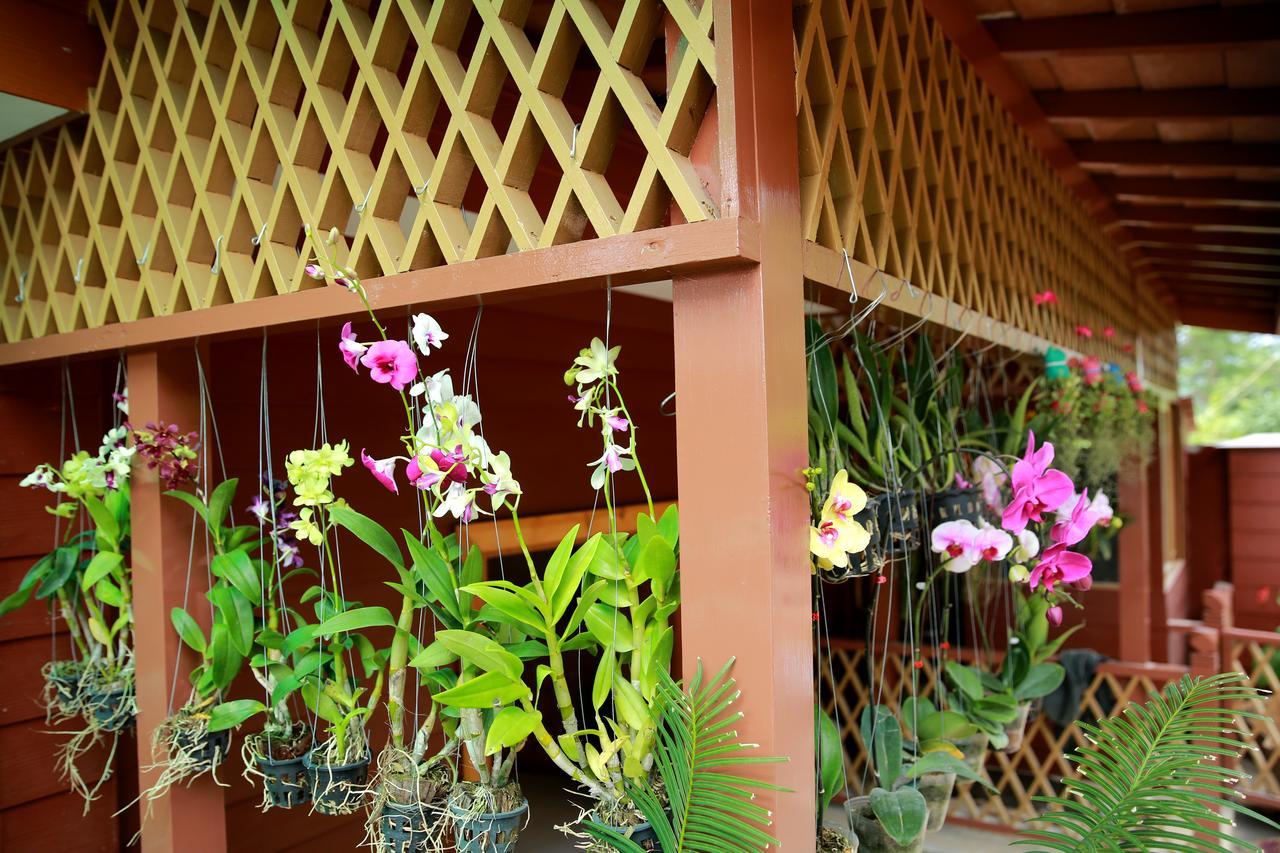 Essence Motel Kalaw Exterior photo